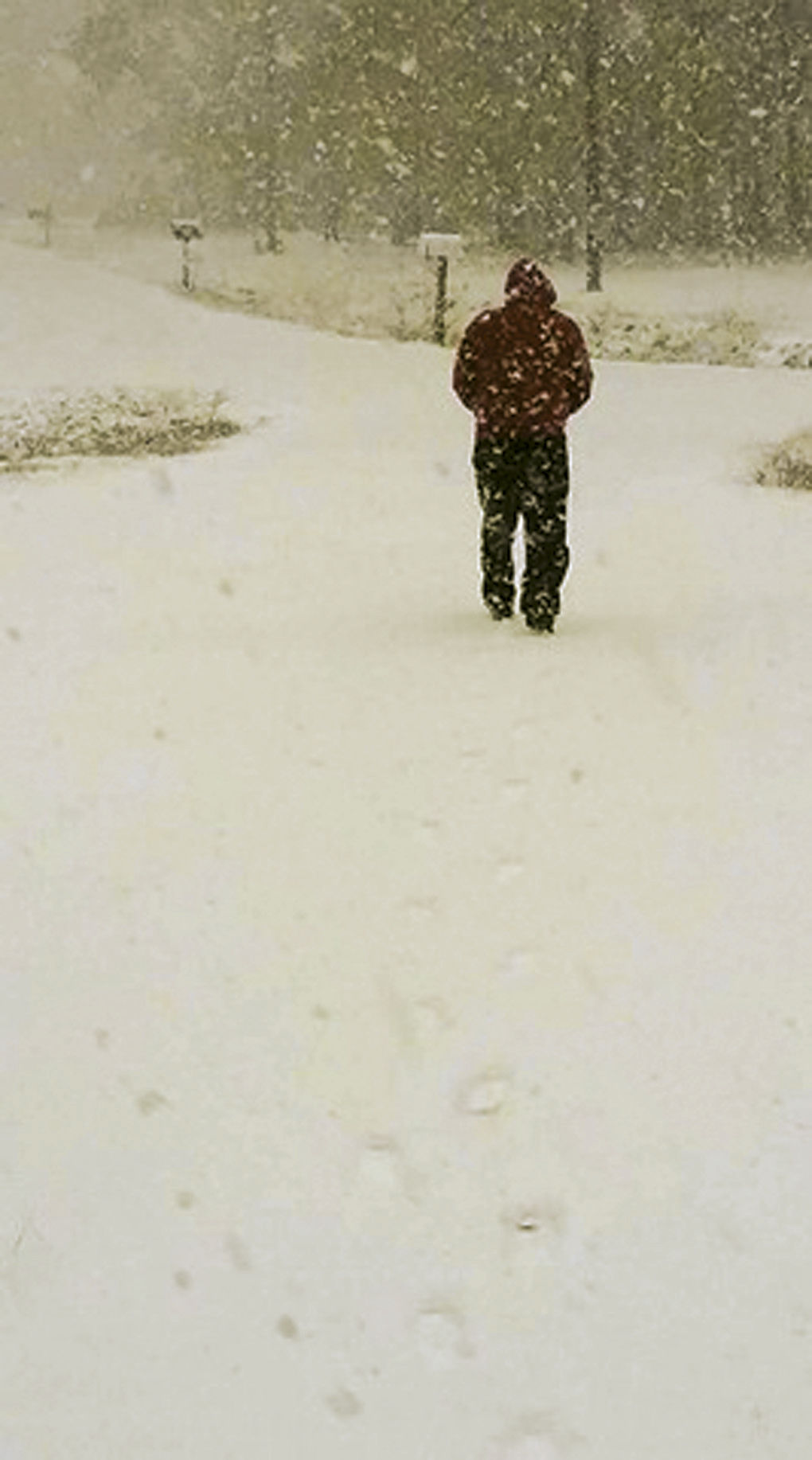 Reader's Snow Day pics